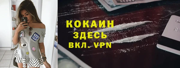 mdpv Новозыбков