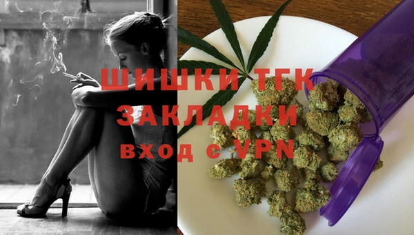 mdpv Новозыбков