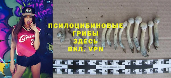 героин Няндома