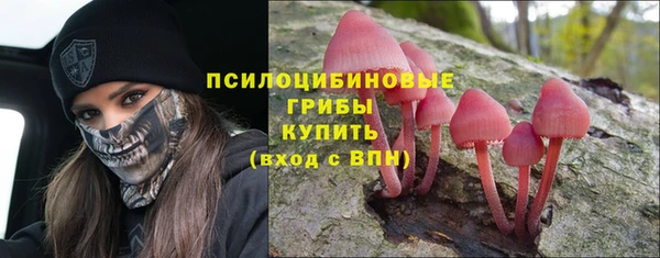 мефедрон Новодвинск