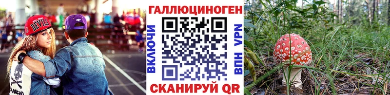 MEGA рабочий сайт  Кирово-Чепецк  Псилоцибиновые грибы Cubensis 