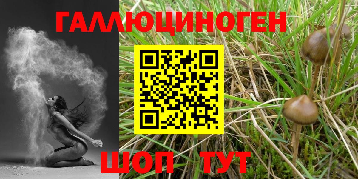 Кирово-Чепецк  Галлюциногенные грибы мухоморы  Вход с VPN 